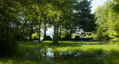 Au bord du lac de Léon