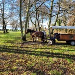 balade-calèche-azur-Saint Valentin